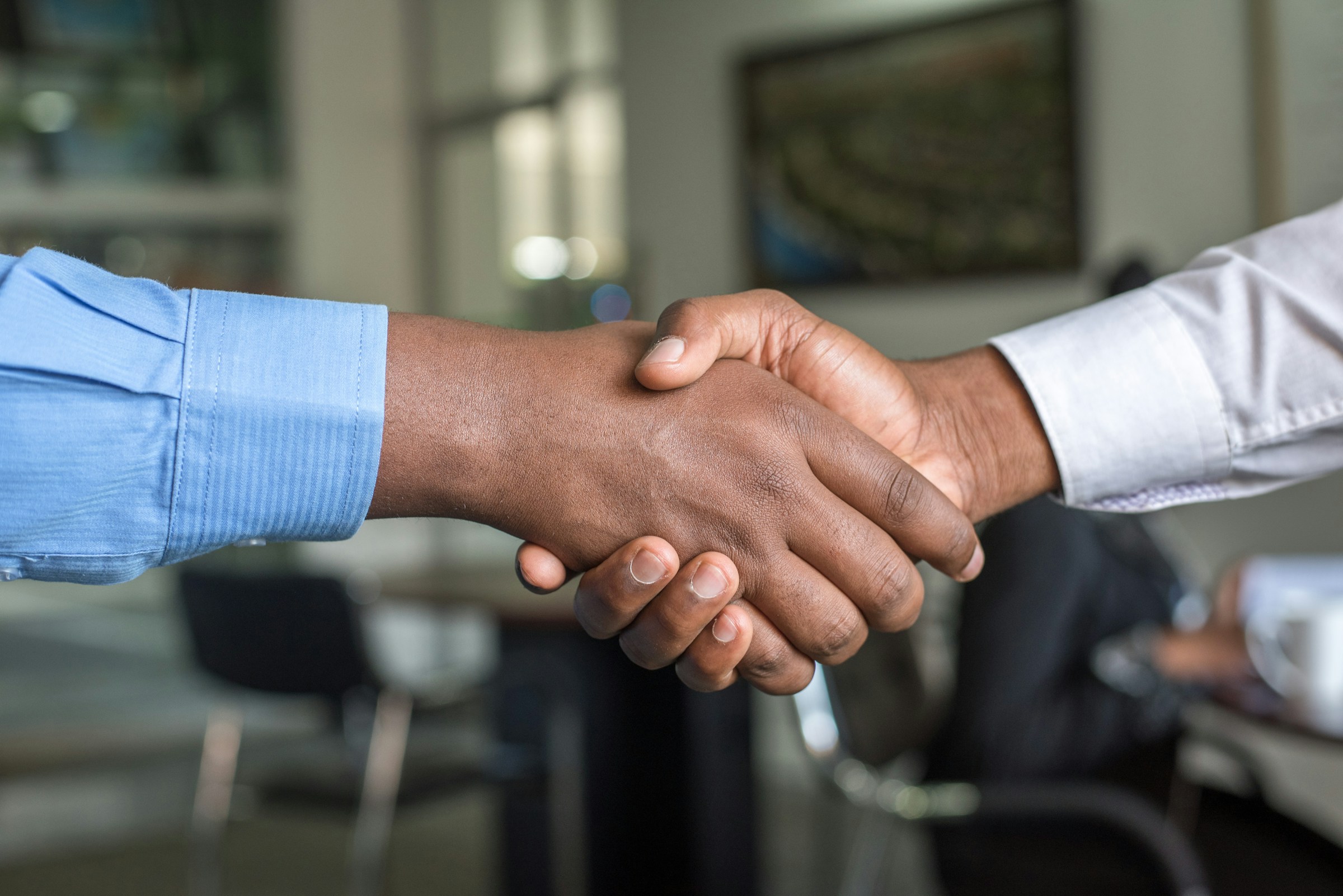 Professionals meeting and shaking hands